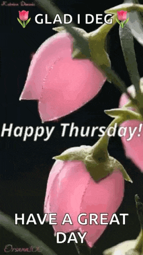a happy thursday greeting with pink flowers and the words `` glad i deg happy thursday have a great day ''