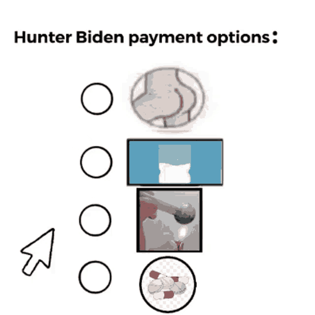 a graphic showing hunter biden payment options including a lighter