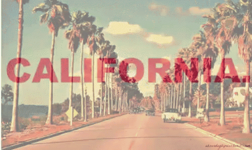 the word california is on a pink background