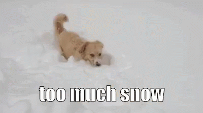 Too Much Snow GIF - Too Much Snow Snow Winter GIFs