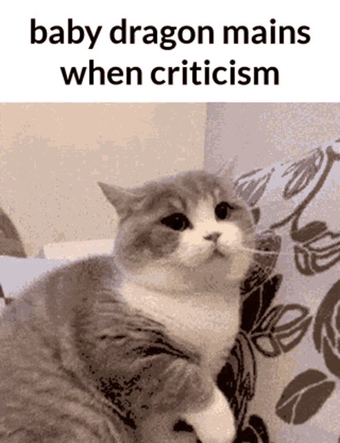 a cat is sitting on a couch with a caption that says baby dragon mains when criticism .