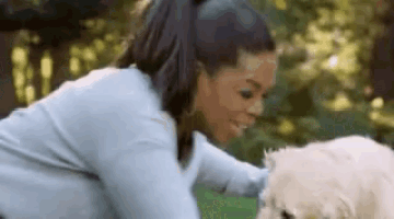a woman is petting a white dog in a park .