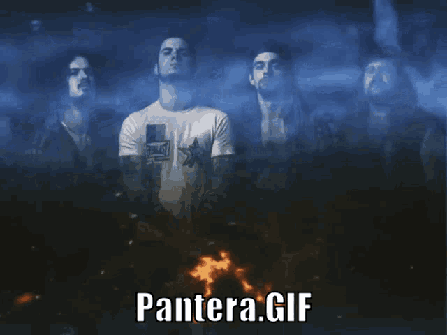 Pantera Panteragif GIF - Pantera Panteragif GIFs