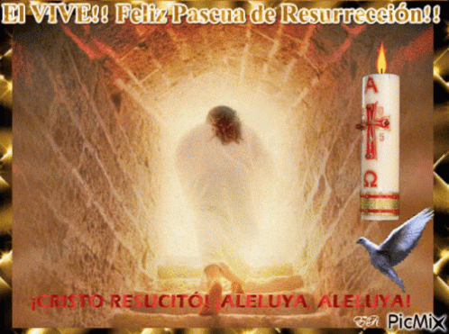 Felices Pascuas De Resurrecion Resucito GIF - Felices Pascuas De Resurrecion Resucito Aleluya GIFs
