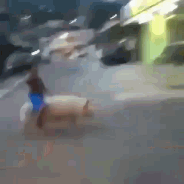 a blurry picture of a person walking down a street .