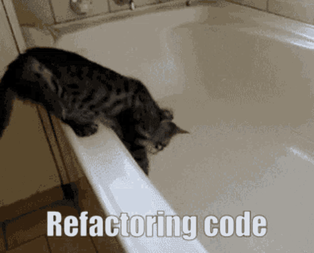 Refactoring Code Cat GIF - Refactoring Code Cat Bath Tub GIFs