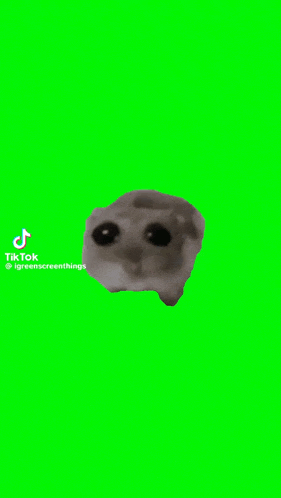 a green screen with a cartoon character on it .