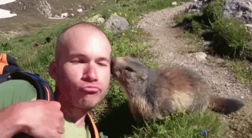 Love Kiss GIF - Love Kiss Animal GIFs