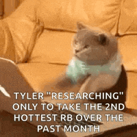 a cat is sitting in front of a laptop computer .