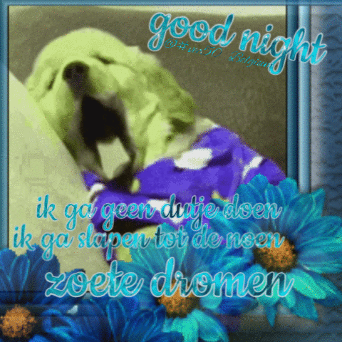 Goodnight Good Night GIF - Goodnight Good Night Goede Nacht GIFs