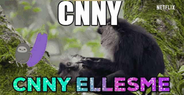 a picture of a monkey and an eggplant with the words cnny ellesme