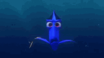 a close up of dory 's eyes from finding dory