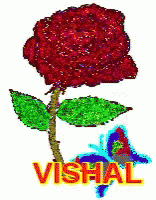 Vishal Rose GIF - Vishal Rose GIFs