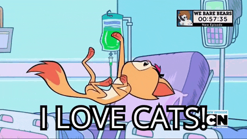 a cartoon of a cat in a hospital bed with the words i love cats
