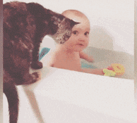 a baby is playing with a cat in a bath tub