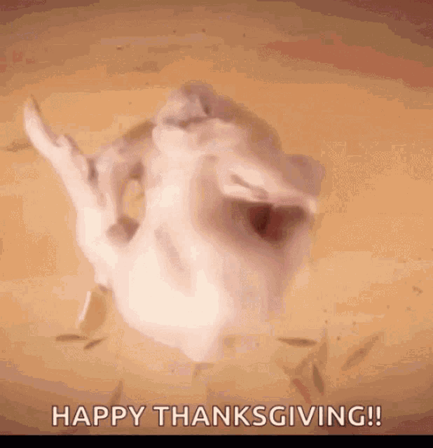 Happy Thanksgiving Twerking Turkey GIF - Happy Thanksgiving Twerking Turkey Twerk GIFs