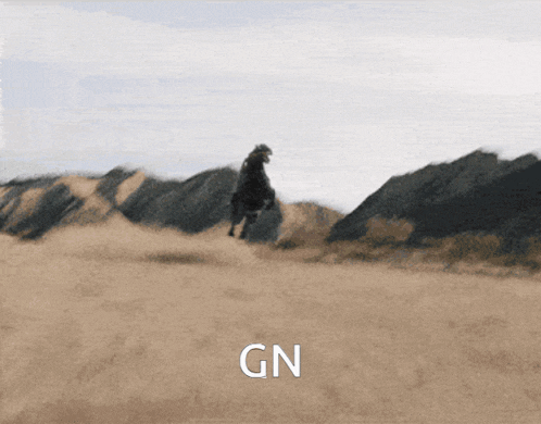 a person riding a horse in a desert with the word gn below them