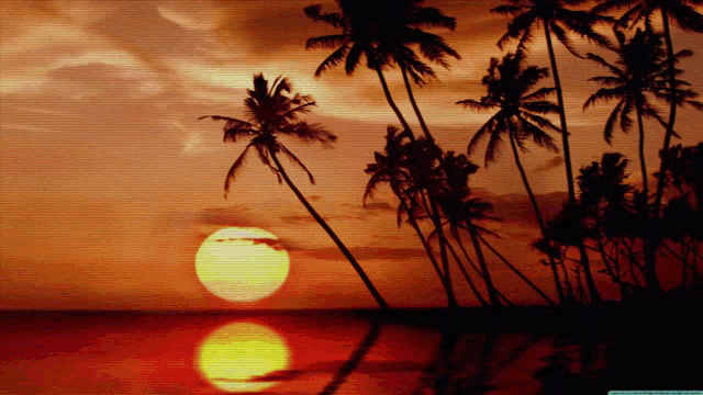 a sunset with palm trees in the foreground and the sun setting in the background