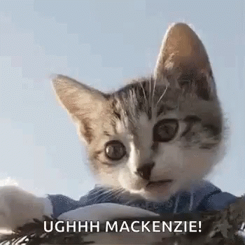 Cat Facepalm GIF - Cat Facepalm Ugh Mackenzie GIFs