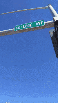 a seagull is flying over a street sign that says college