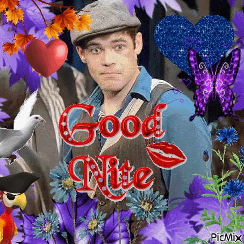 a man in a hat is surrounded by purple flowers and butterflies and says good night