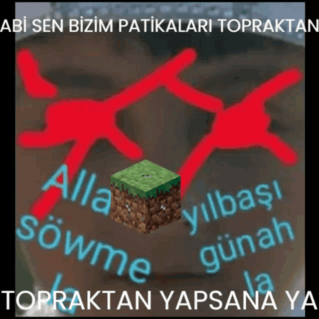 a picture of a minecraft block with the words alla sowme written on it