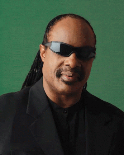 Deal With It Stevie Wonder GIF - Deal With It Stevie Wonder Thug Life GIFs