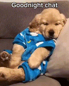 a puppy wearing a blue shirt is laying on a couch with the caption goodnight chat