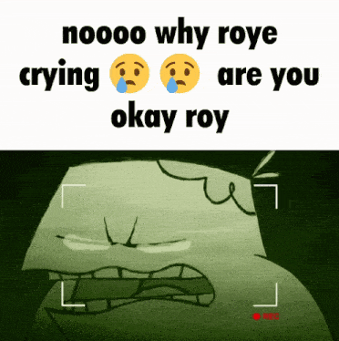 a cartoon character is crying and says noooo why roye are you okay roy