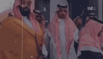 Mbs Mohammad GIF - Mbs Mohammad Royal Family GIFs