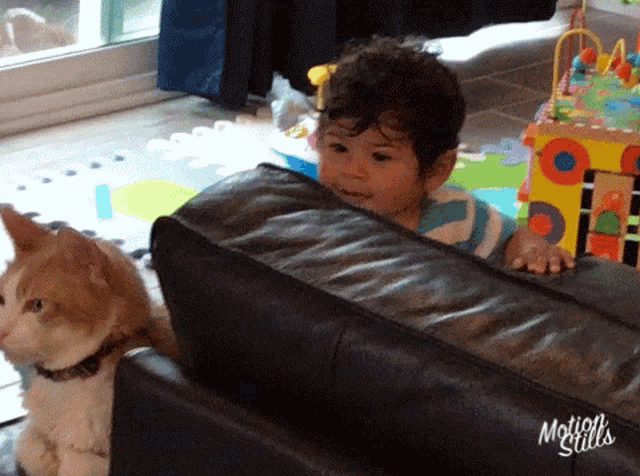 a little boy is sitting on a couch with a cat and the words motion stills on the bottom
