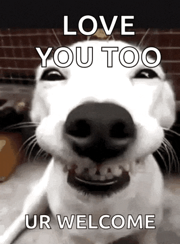 a dog is smiling with the words love you too ur welcome on the bottom