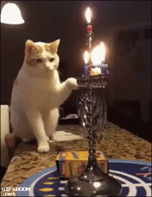 a cat reaches for a candle in a candle holder