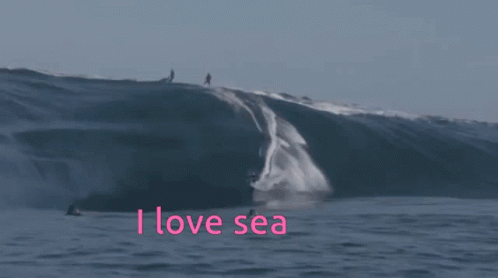 I Love Sea Sea Activities GIF - I Love Sea Sea Activities Adventure Activities GIFs