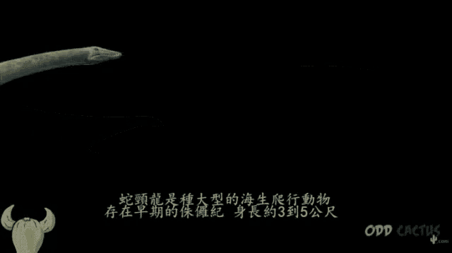 odd cactus is a website that shows a whale
