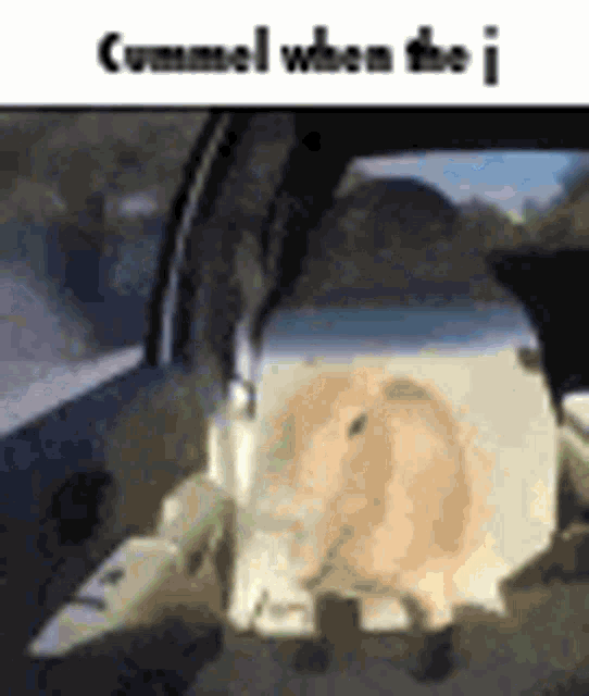 a hamster is sitting in the driver 's seat of a car and looking out the window .