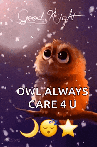an owl is sitting on a branch with the words good night owl always care 4 u on it
