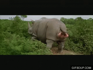 Jim Carrey Rhino GIF - Jim Carrey Rhino Exiting GIFs
