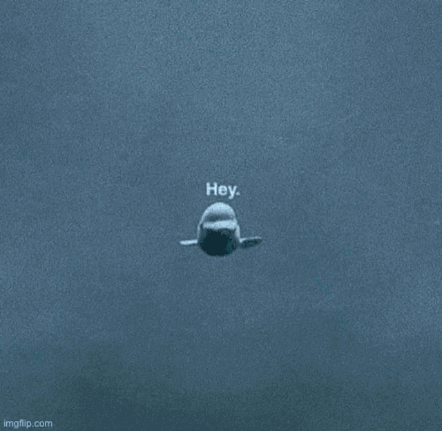 a beluga whale is swimming in the ocean and looking at the camera .