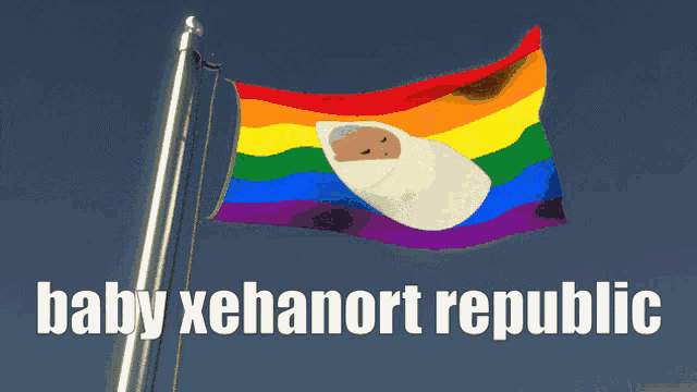 a rainbow flag with a baby wrapped in a blanket and the words baby xehanort republic below it