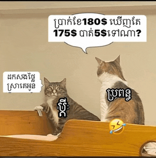two cats are sitting next to each other with a speech bubble above them that says 175 dollars