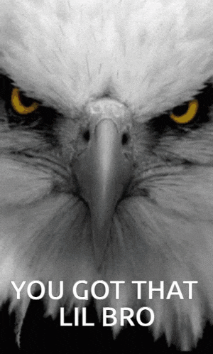 a picture of an eagle with the words you got that lil bro