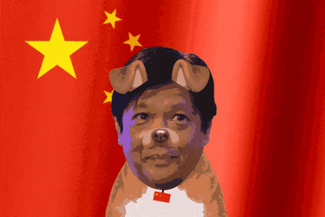 a man with a dog 's face on his head in front of a flag of china