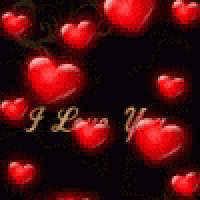a bunch of red hearts with the words `` i love you ''