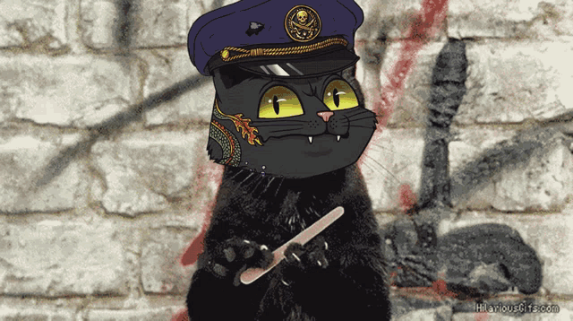 a black cat wearing a pirate hat is holding a stick