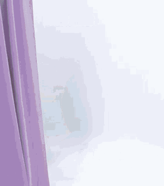 a person is standing behind a purple curtain .