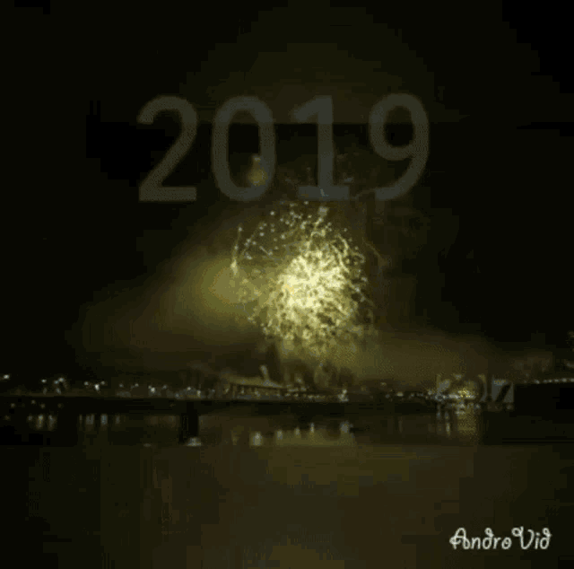 Happy New Year 2019 GIF - Happy New Year 2019 Bitch GIFs
