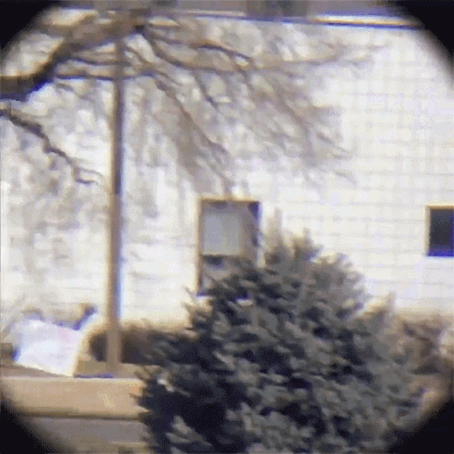 a view of a house through a binoculars with a tree in the foreground