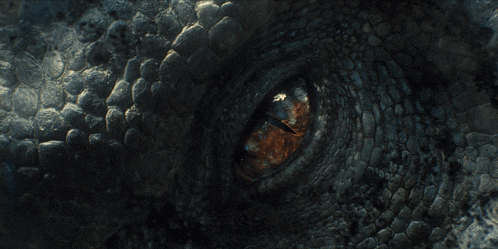 a close up of a lizard 's eye with a glowing pupil