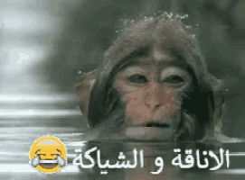 a picture of a monkey in the water with arabic writing on the bottom